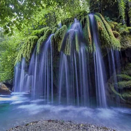 Kalimaka Bed and Breakfast